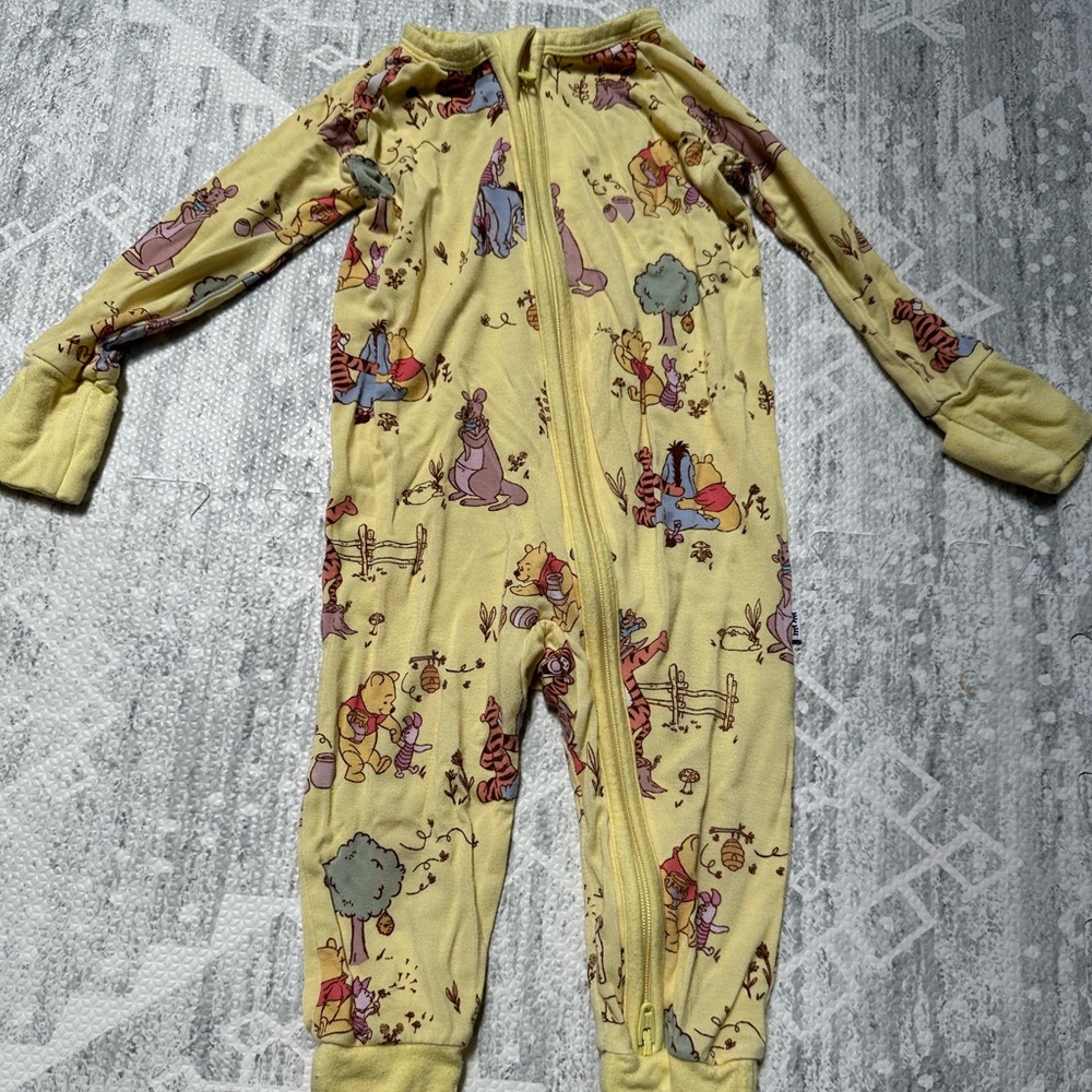 LS Pooh Zippy